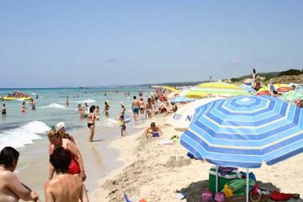 Arenales. Estos peces crecen en playas arenosas y son más numerosos este verano que el anterior - Archivo