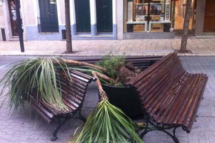 Daños. Las jardineras instaladas recientemente por el Ayuntamiento amanecieron ayer destrozadas - M.P.S.