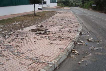 Sant Tomàs. La urbanización sufre las consecuencias del mal funcionamiento de la estación de bombeo - A.E.G