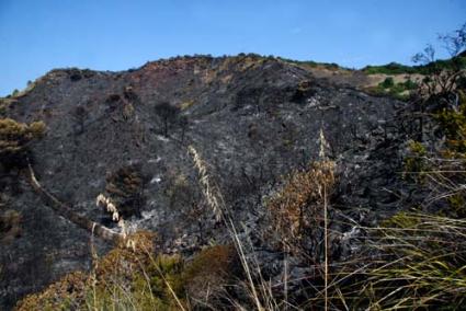 Ets Alocs. Ha sido la zona más afectada con 20 hectáreas quemadas, el incendio está prácticamente extinguido - Cris