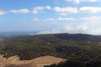 Panóramica del incendio de Son Parc - Isaac pons