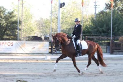 Girona. Antonio Seguí ha clasificado a tres caballos para el Campeonato de España de Doma Clásica - A.S.