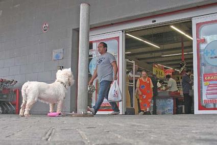 De compras. Hasta la aprobación del Decreto Ley del comercio los establecimientos comerciales podían abrir en domingo hasta el 30 de octubre - Gemma Andreu