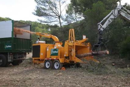 Proceso. Una máquina especializada convierte la masa forestal en astillas que, posteriormente serán enviadas a Italia para la generación de electricidad - Javier