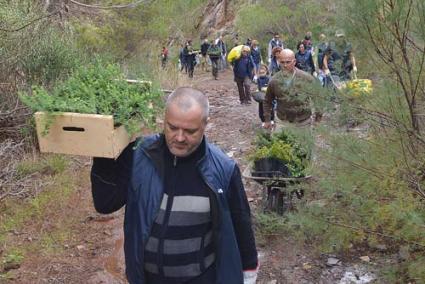 Jornada de voluntariat. La iniciativa, promoguda per la Fundació BBVA amb el Consell va consistir en la plantació d’espècies vegetals i en la retirada de restes de construccions il·legals que dificulten el procés de regeneració vegetal - Paco Sturla