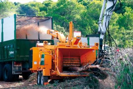 Biomasa. La empresa granadina se encuentra trabajando en la Isla desde inicios de octubre - Archivo