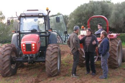 Sembra. Vila i Cardona van seguir el procés que va portar a terme el passat dilluns el pagès Bartomeu Pons, de Mussuptà de Baix - V.V.