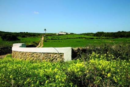 Análisis. El primer muestreo es de 2010. En la imagen, vista del campo desde el Camí de Tramuntana - Archivo