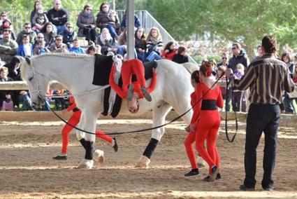 Espectacle. El volteig, enguany combinat amb la monta, fou un dels nombres més vistosos d’un muntatge que reuní a unes mil persones a la pista coberta del Club Hípic Ciutadella una setmana més tard del que estava previst inicialment - Paco Sturla