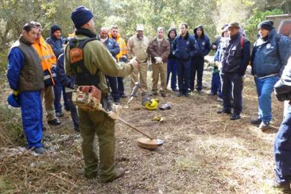 Formación. Los trabajos en las urbanizaciones, en la imagen, han requerido antes de clases teóricas a cargo de ingenieros forestales - ibanat menorca