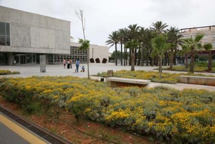 Consell. Las bolsas de trabajo pretenden poder cubrir una vacante o necesidad puntual con agilidad - Archivo