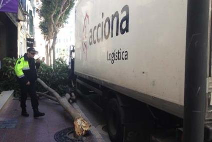 Suceso. El incidente tuvo lugar en el tramo de Camí des Castell más cercano a la Plaça del Príncep - D.M.