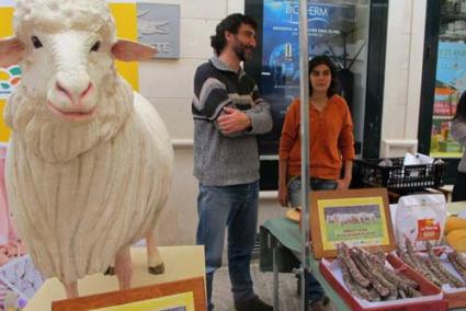 Carrer nou. L’embotit de be del GOB ja es pot adquirir en mercats com l’AgroMaó i el de Ciutadella - S.P.