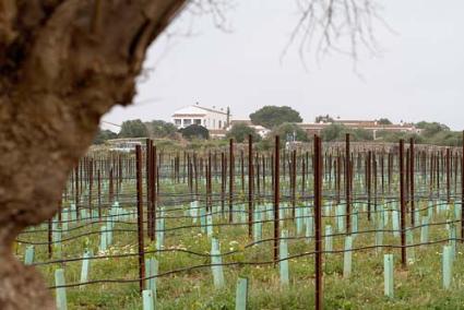 Torralbenc. El agroturismo ultima estos días la puesta a punto previa a su apertura - Gemma Andreu