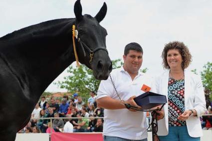 Feria. La jornada de clausura de la XVII feria volvió a congregar a un numeroso público en torno a la pista central del Recinto Ferial de Es Mercadal. Destacó la entrega de premios a los ganadores y la repetición de algunos números incluidos en el programa del espectáculo nocturno - Paco Sturla