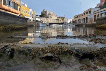 Puerto. La rada está en alerta por oscilaciones del mar, aunque este aviso no altera el día a día normal en este lugar - Paco Sturla