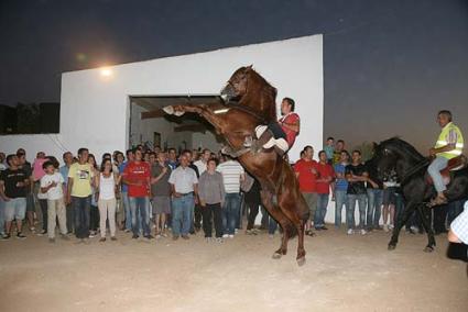 De visita. Els cavalls s’anaren arreplegant pel Camí de Sant Joan de Missa fins arribar al Lloc Nou - Javier