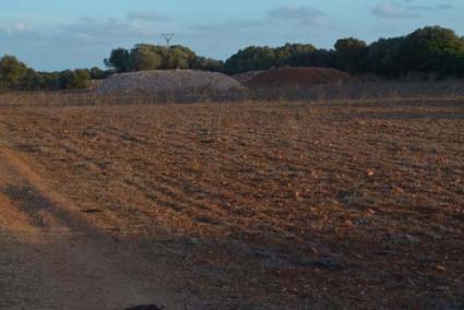 So na Parets. En esta zona de Ciutadella se proyectaba la construcción de un camping - Archivo