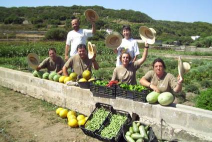 Oportunitat. Aquesta feina és una gran passa per als integrants d’Ecoverd, que poden treballar a l’hora que aprenen continuament coses noves - D.M.