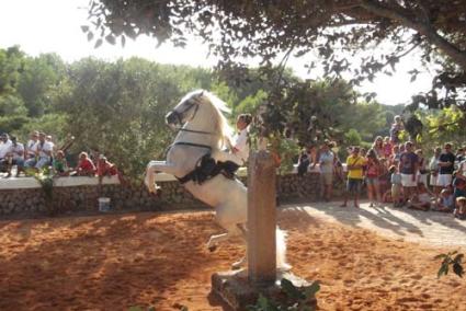 Jaleo. La ermita de Binixems, una de las más antiguas capillas rurales de Menorca, acogió el domingo el primer jaleo de las fiestas con 35 caixers - A.A.