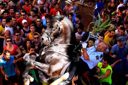 Una vez más la cultura y la tradición, las imágenes de los caixers y los caballos, fueron las más fotografiadas por vecinos y visitantes. - Jaume Fiol