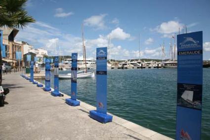 Actividad. Hoy se espera que haya más movimiento en el muelle del Club Marítimo de Mahón - Javier