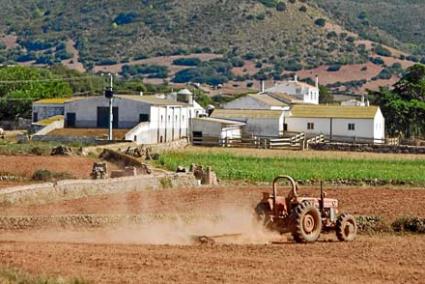 Un tractor ahir preparant la terra de cara l'arribada de les pluges - Josep Bagur Gomila