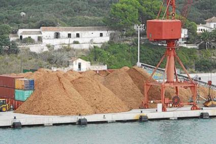 1.500 toneladas de biomasa convertida en astillas aguarda en el puerto de Maó - Javier Coll