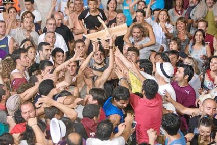 Los voluntarios no podrán intervenir en imágenes como esta, en la que se lucha por un trozo de ‘carota’