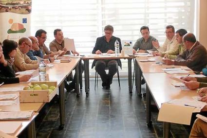 La asamblea general del Leader se celebró ayer en el Consell - CIME