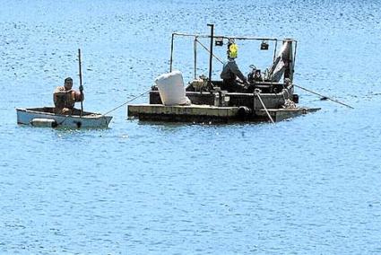 La zona prevista para el dragado del puerto de Maó ha sido objeto de varias catas