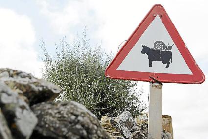 Menorca Es Mercadal camino cami de Tramuntana señal de trafico curios