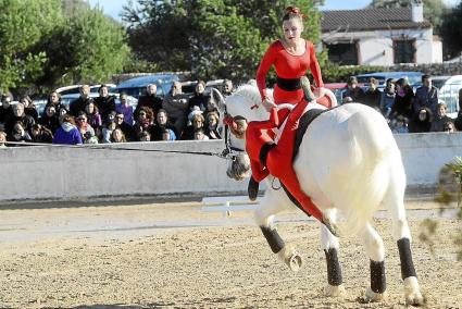 menorca ciutadella espectaculo equestre sant antoni