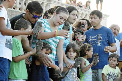 Una de las actividades de liberación de animales recuperados el año pasado