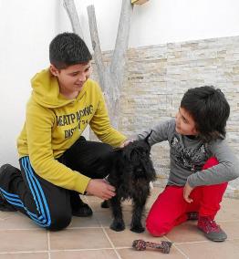 David y Gemma, los hijos del matrimonio propietario del perro, jugaban ayer con ‘Black’ tras el tremendo susto del miércoles.