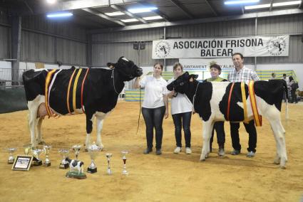 Francesc Truyol, l’amo d’Algendar d’en Gomila, con su familia y la gran vaca campeona «Jara», y con la novilla gran campeona