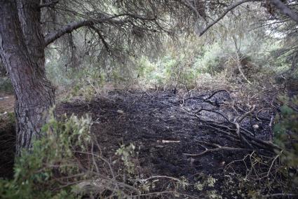 El fuego se declaró a las tres de la madrugada de este jueves