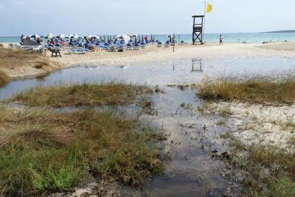 La playa de Punta Prima se ha visto afectada por las precipitaciones.