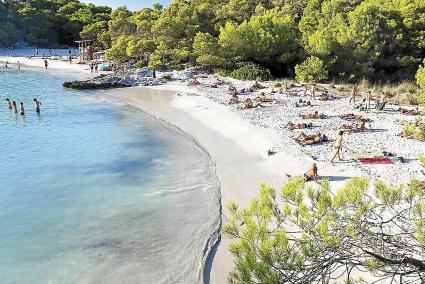 MENORCA - PLAYAS - PLAYA DE CALA EN TURQUETA .