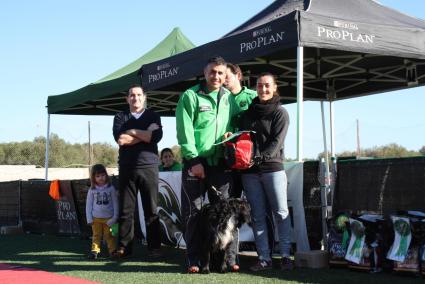 Ganador competición AGILITY: Pedro Salas con DARK