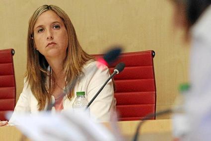 La consellera Pilar Pons, en un pleno de la institución.