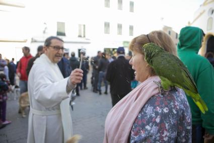 En Es Migjorn ha habido mucha participación en la beneida.