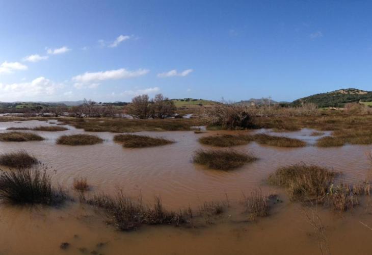 Las abundantes lluvias que en algunas zonas de la Isla han superado con creces los 100 litros desde el pasado 1 de febrero