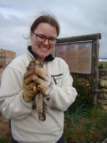 Una voluntaria del Centro de Recuperación de Fauna Silvestre del GOB liberando una de las aves.