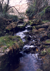 La primera excursión tendrá lugar en el Barranc d'Algendar, en Ferreries.