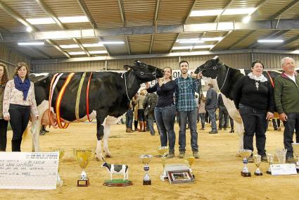 Menorca Alaior Feria del campo concurso morfologico ganado vacuno fri