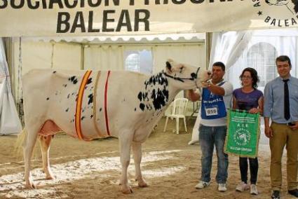 La vaca ‘Biniseguí Vell Shottle Eva’, de la ganadería Biniseguí Vell, de es Mercadal, fue la gran campeona. g Fotos: