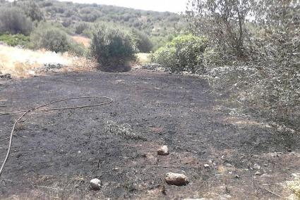 Los bomberos han conseguido extinguirlo antes que se propagara en otras direcciones