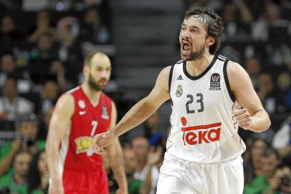 Sergi Llull