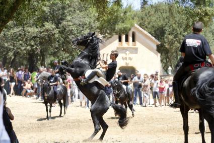 Menorca Ciutadella predio Ses Arenes de Dalt Fiestas de Sant Joan pre